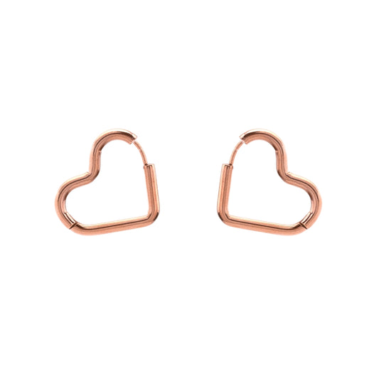 brinco argola em aço inoxidável em dourado ou prateado